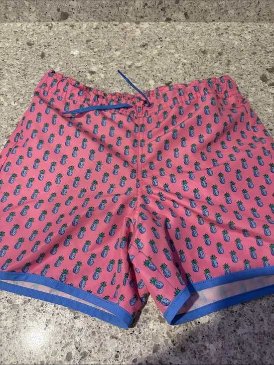 Polo Ralph Lauren Other - Polo by Ralph Lauren Pink Pineapple Print Boys' Swim Trunks with Blue Trim